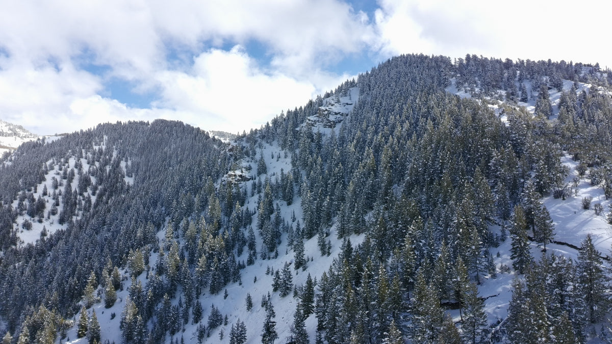 The peaks of Moose Springs Ranch in winter