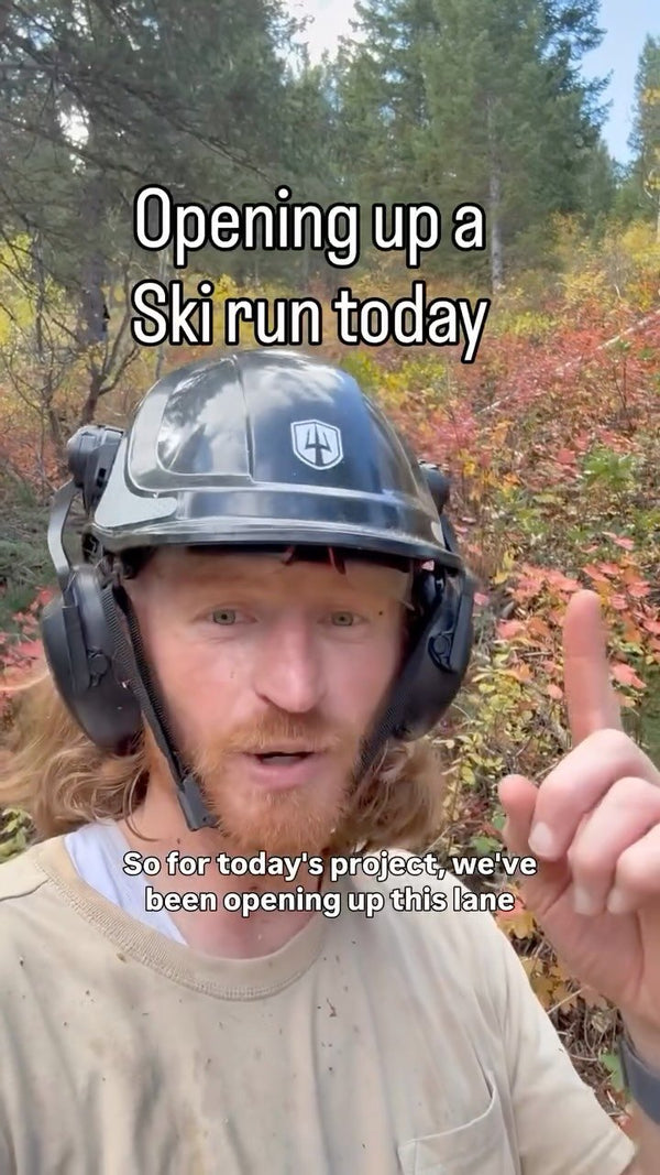 Glading pine trees to open tree skiing lines